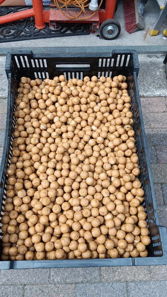 sweet amandel premium boilies, Ophalen of Verzenden, Nieuw, Overige typen