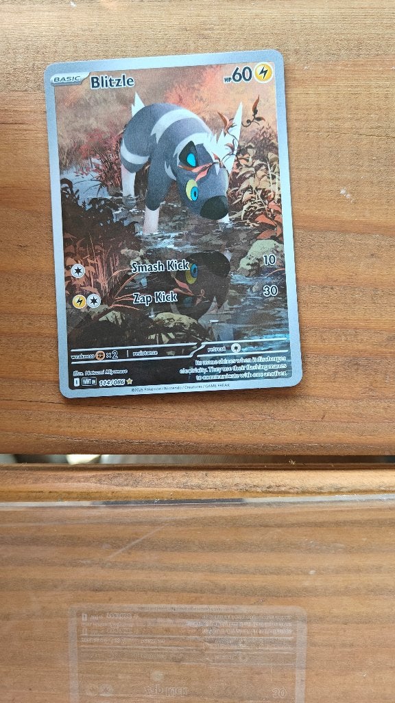 Blitzle 114/086 - White Flare - Pokémon EN, Ophalen of Verzenden, Nieuw, Losse kaart