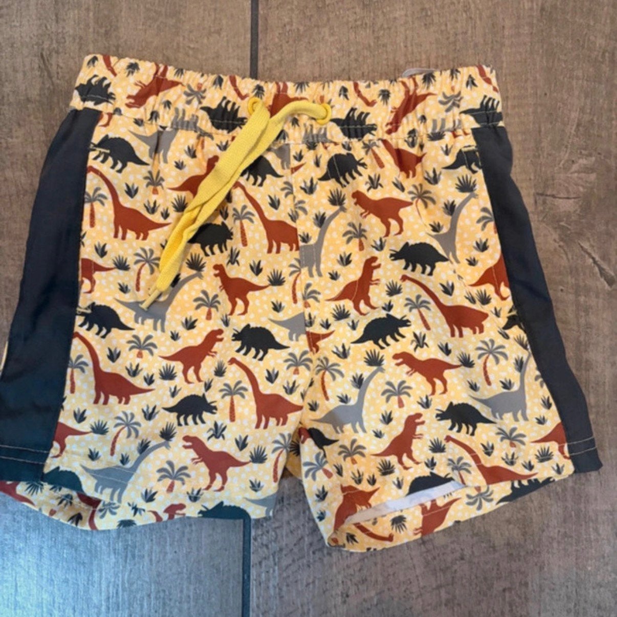 Dirkje zwembroekje maat 86/92 met dinos, Meisje, Ophalen of Verzenden, Zo goed als nieuw, Zwembroek