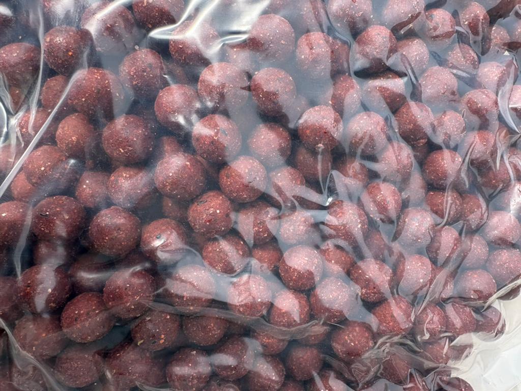 Squid Octopus Boilies koopje ivm fout, Ophalen of Verzenden, Nieuw, Overige typen