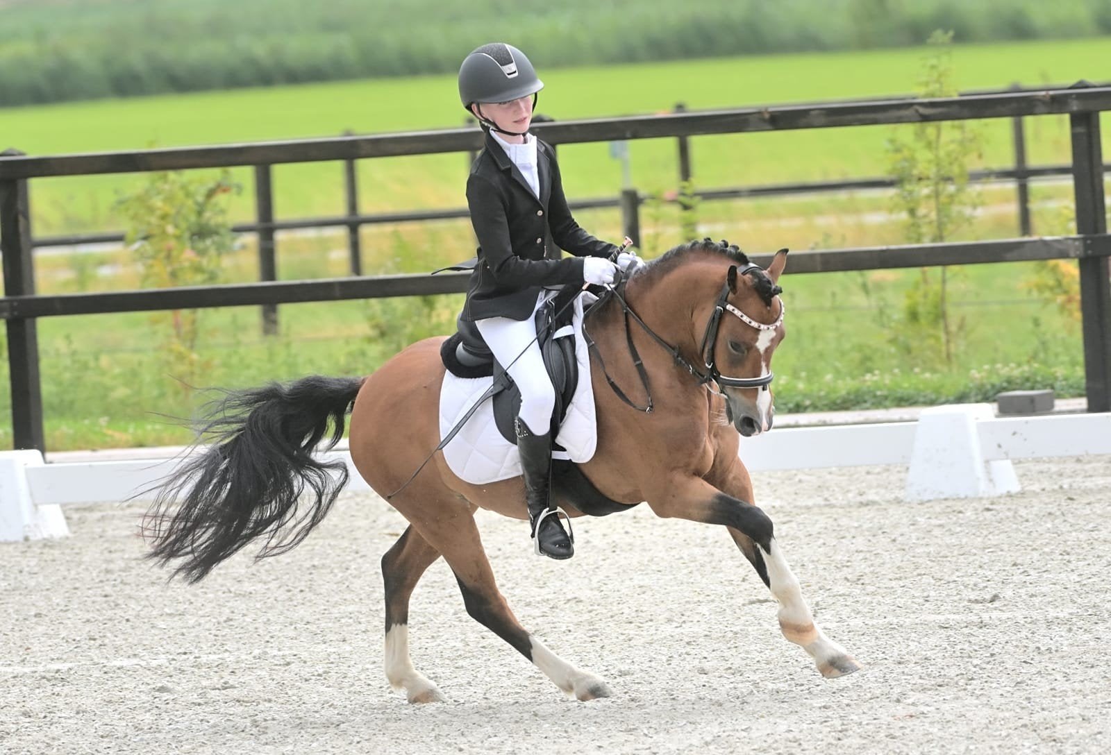 Knappe 6 jarige B pony, Dieren en Toebehoren, Ruin, M, B pony (1.17m tot 1.27m), 3 tot 6 jaar