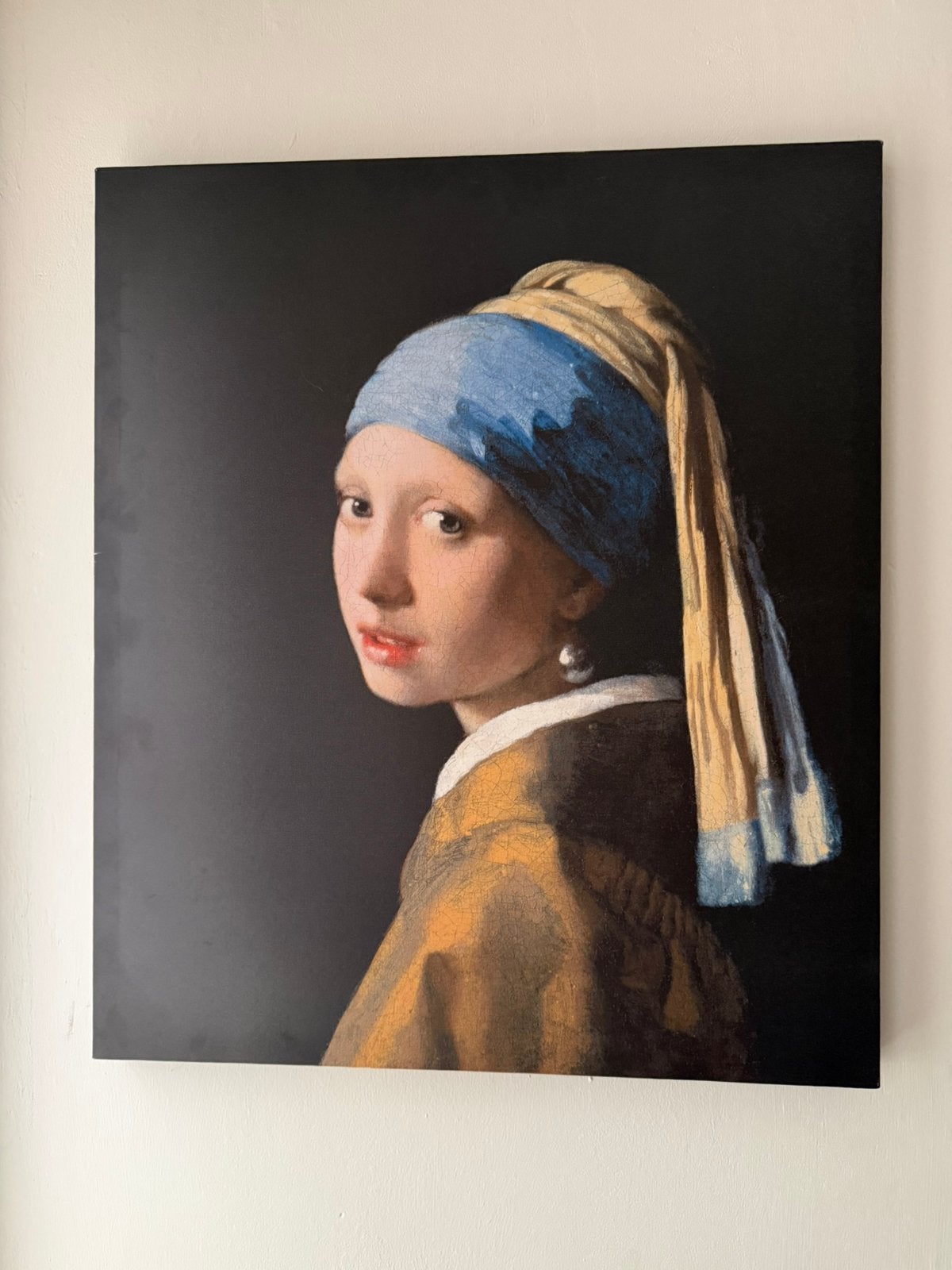 Meisje met de parel schilderij, Ophalen, Zo goed als nieuw, 50 tot 75 cm, Schilderij
