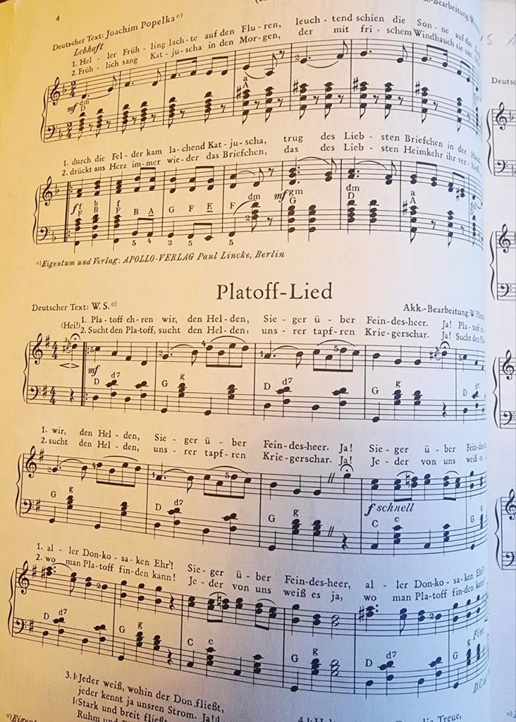 Russische Volksmusik für Akkordeon Band 2, Muziek en Instrumenten, Gebruikt, Verzenden, Thema, Populair
