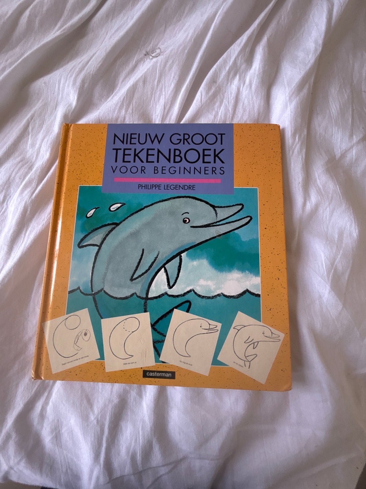 Nieuw Groot Tekenboek Voor Beginners - Philippe Legendre, Hobby en Vrije tijd, Tekenen, Ophalen, Gebruikt, Boek of Gids