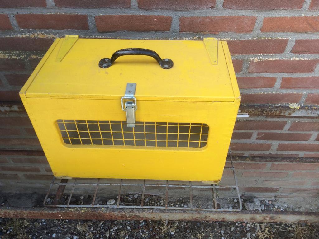 Duivenmand / cavia/ konijn transport kooi / kippen, Ophalen of Verzenden, Zo goed als nieuw