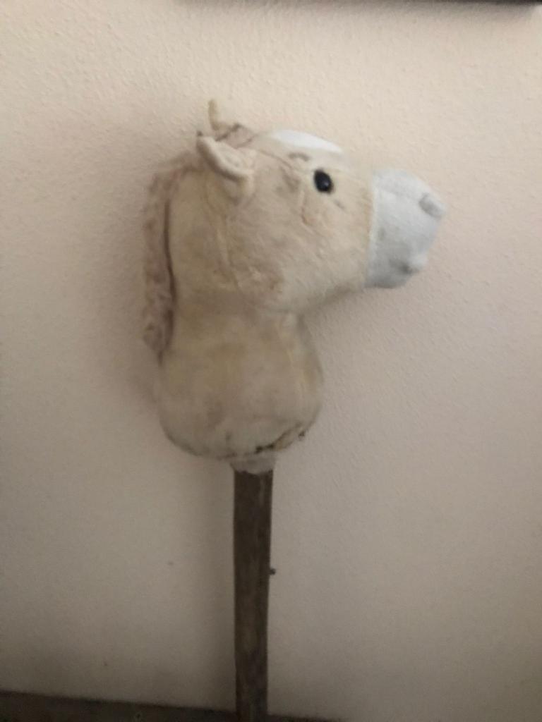 Verzorgpony, Dieren en Toebehoren, Ophalen, Nieuw
