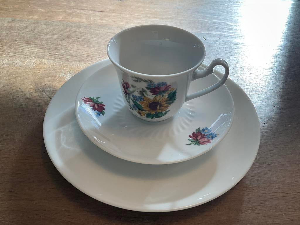 Petit Dejeuner ( ontbijtsetje) Kronester Bavaria, Verzamelen, Ophalen of Verzenden, Gebruikt, Porselein, Overige typen