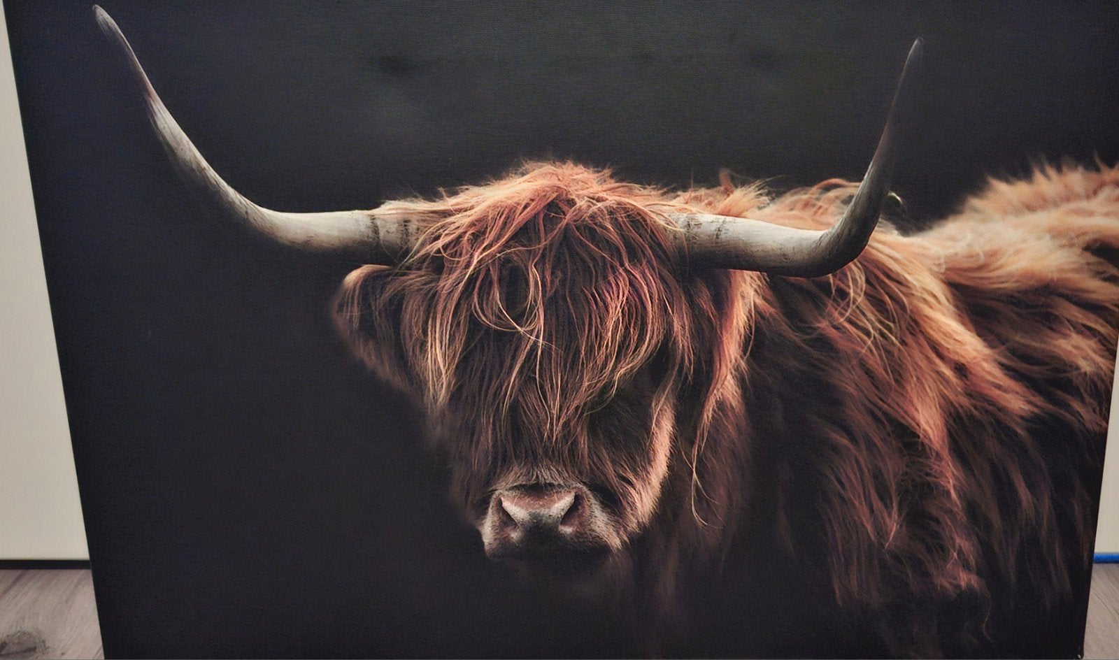 Canvas met Schotse Hooglander - 60x40 cm, Ophalen, 50 – 75, Minder dan 50 cm, Print