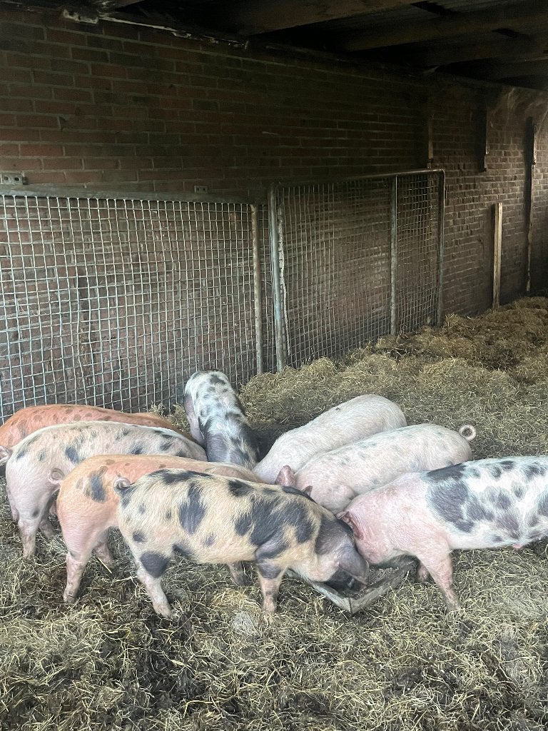 Biggen, Ophalen