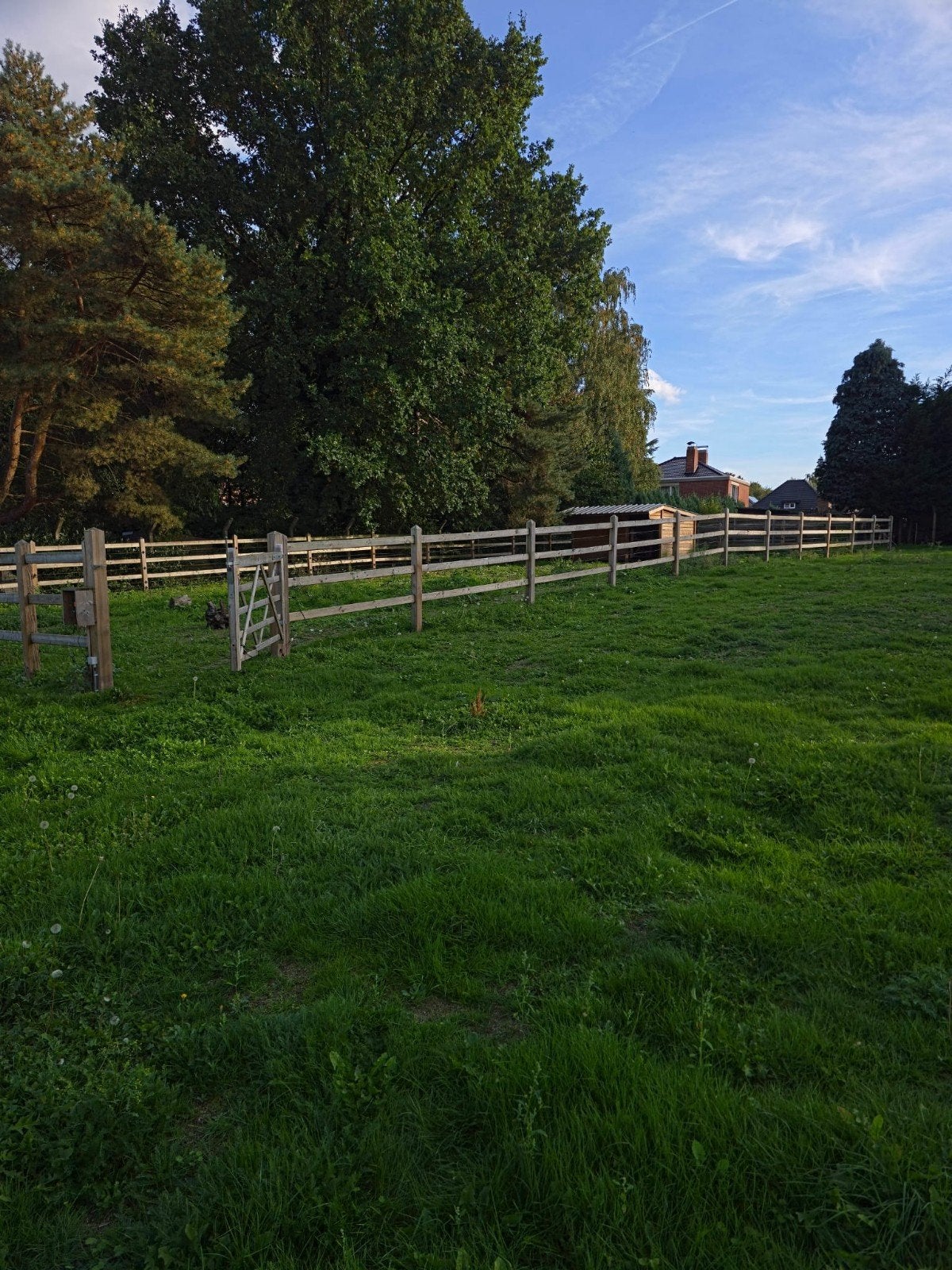 Paardenbak inclusief stroom en hok, Ophalen, Gebruikt, Recreatie