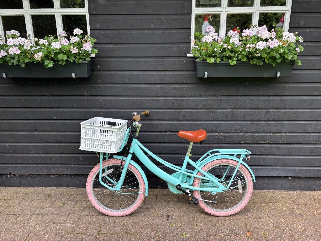 Kinderfiets 20 inch (6-7 jaar oud), Fietsen en Brommers, Fietsen | Kinderfietsjes, Ophalen, Gebruikt, Terugtraprem, 16 tot 20 inch