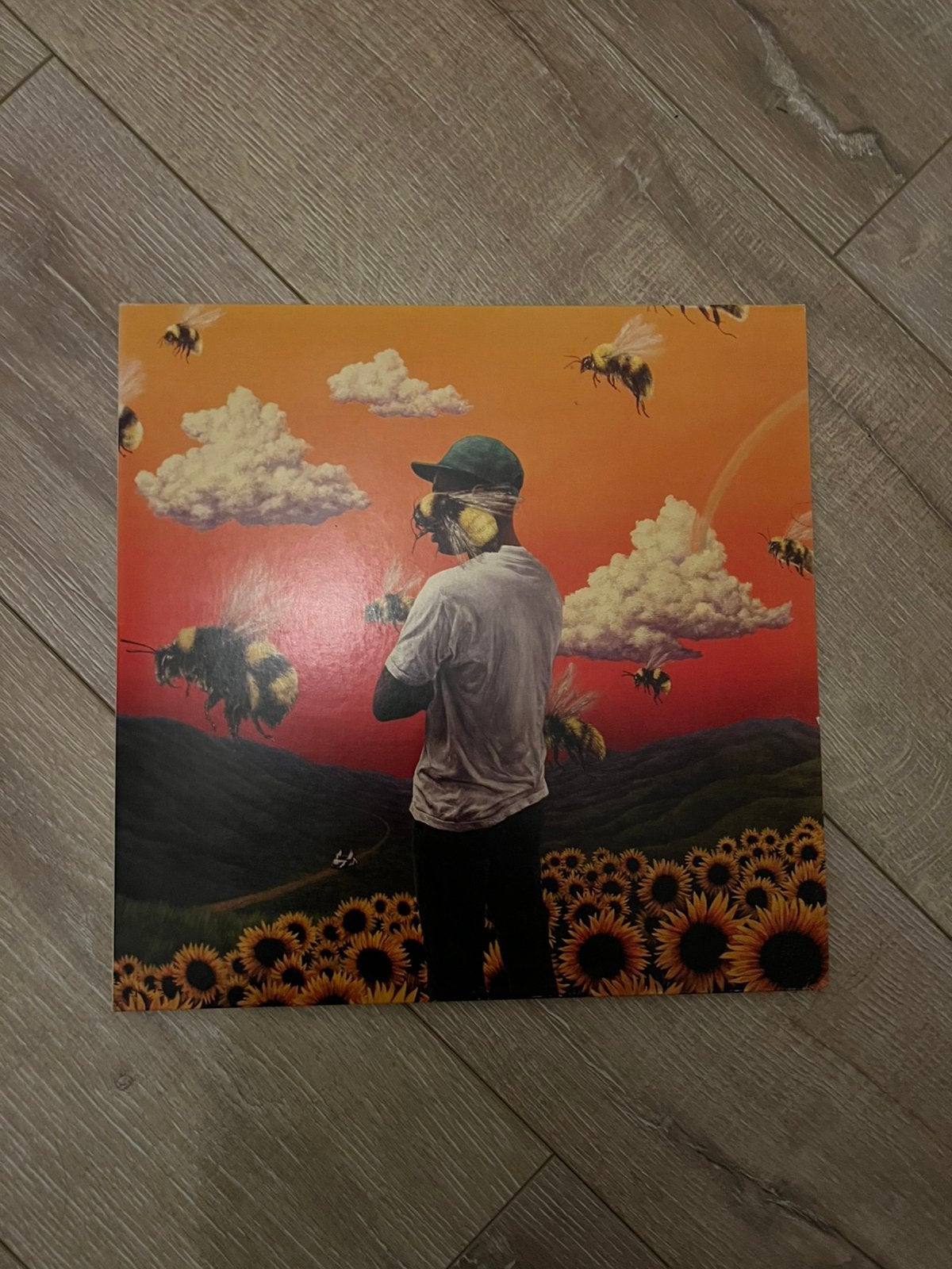 Tyler, The creator - Flower boy (vinyl/LP), Ophalen, Zo goed als nieuw, Dubbel-LP, 12 inch