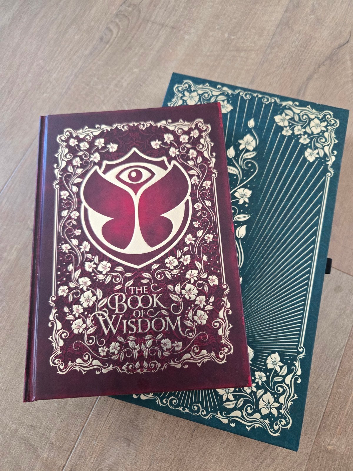 Tomorrowland jubileumboek 15 jaar TML 2019, Boeken, Ophalen of Verzenden, Nieuw