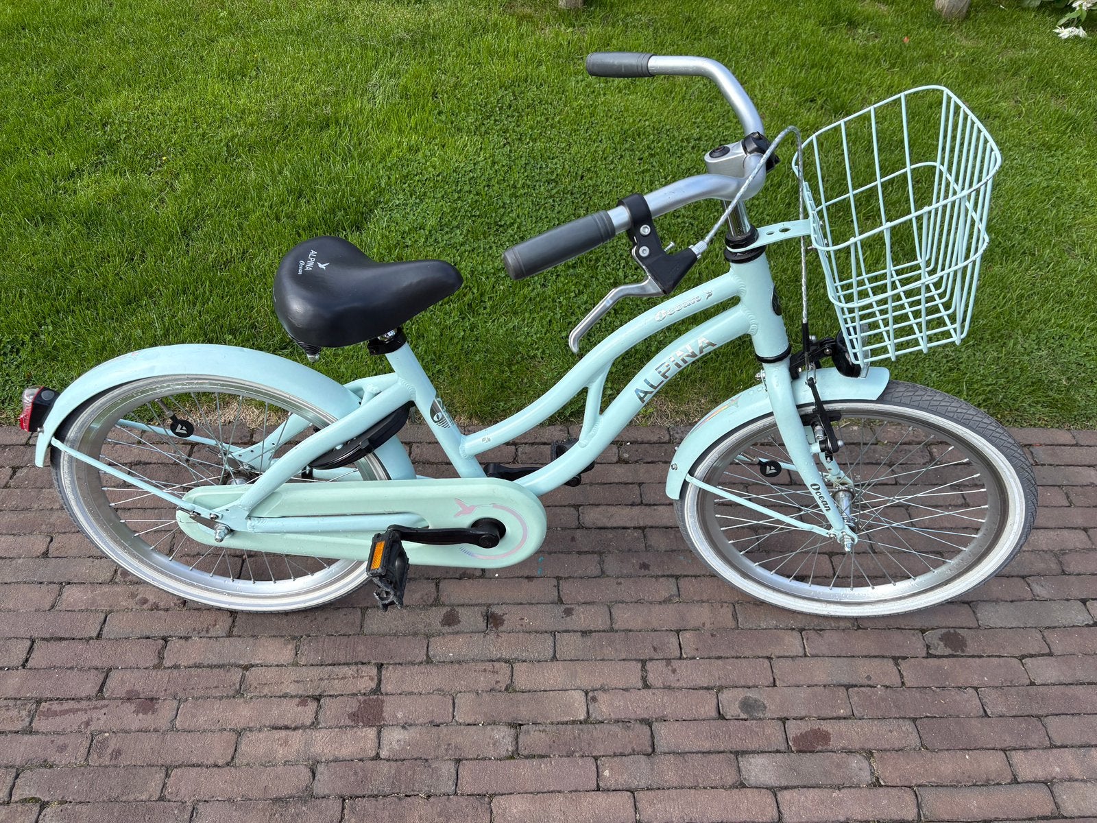 20 inch alpina ocean, Ophalen, Zo goed als nieuw, 20 inch