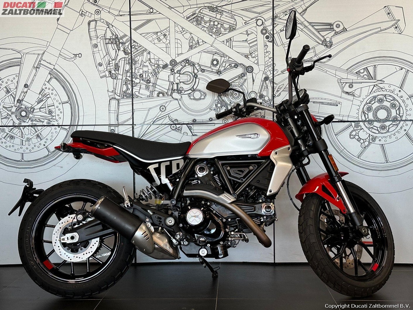 Ducati SCRAMBLER ICON (bj 2024), Nieuw, Bedrijf, Meer dan 35 kW, Toermotor