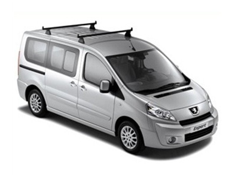 dakdragers voor Peugeot expert, Citroën jumpy of Fiat Scudo, Ophalen of Verzenden, Zo goed als nieuw