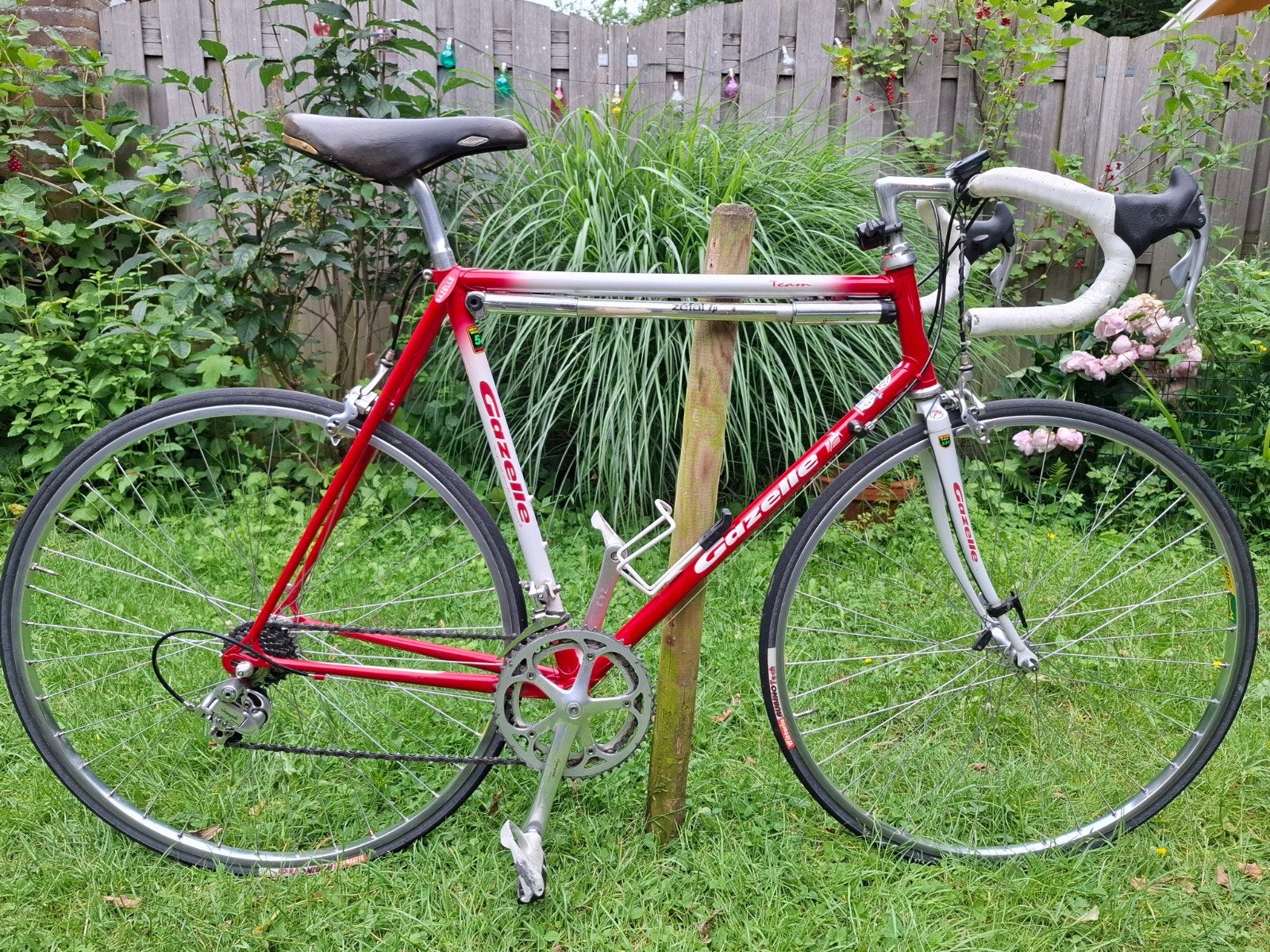 Retro Gazelle Champion Team racefiets - framemaat 57, Ophalen, Gebruikt, 57 tot 61 cm, Gazelle
