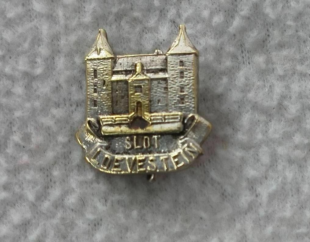 Speld/broche Slot Loevestein, Ophalen of Verzenden, Zo goed als nieuw, Overige onderwerpen, Speldje of Pin