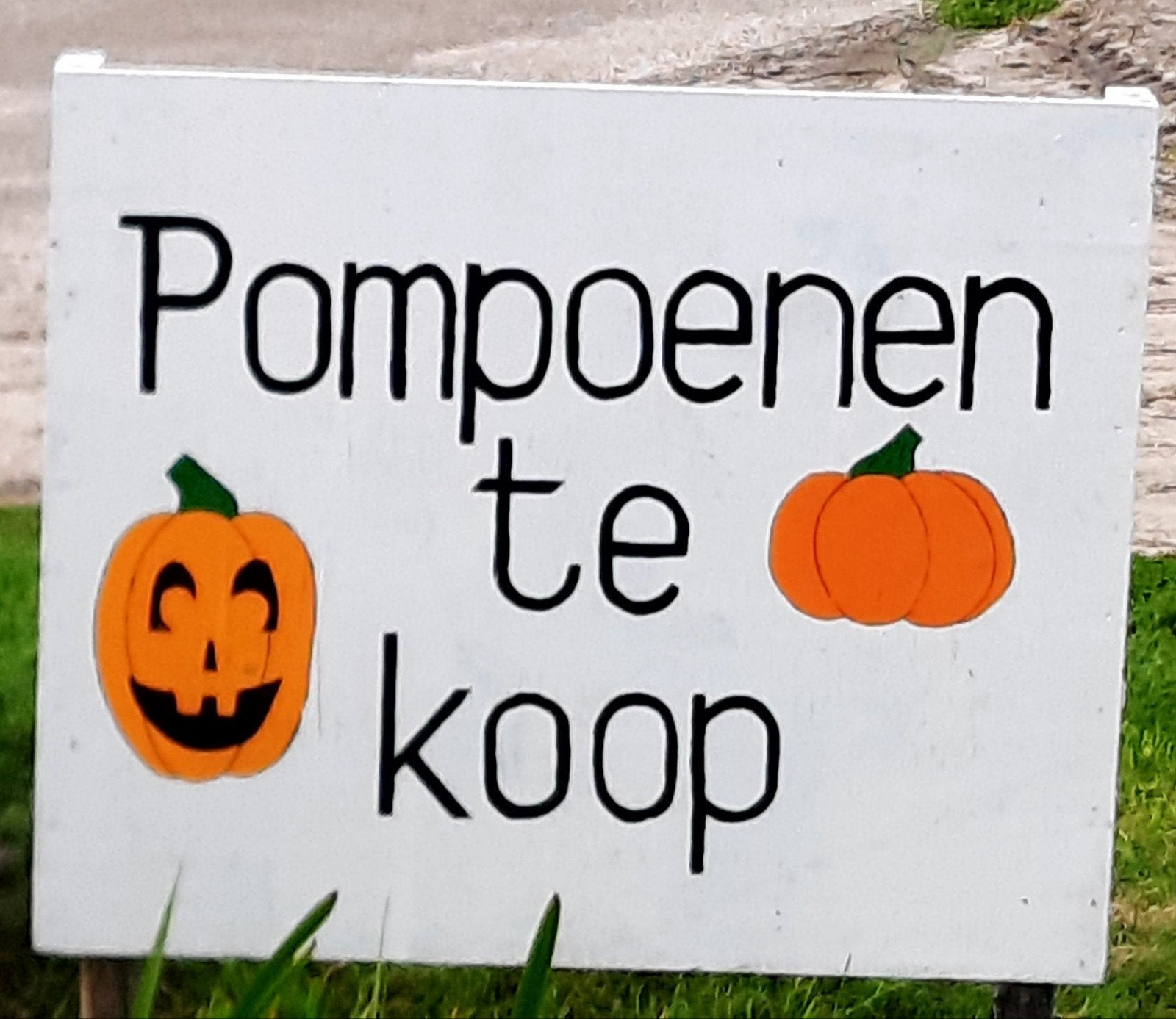 pompoenen en kalebassen te koop, Ophalen, Nieuw
