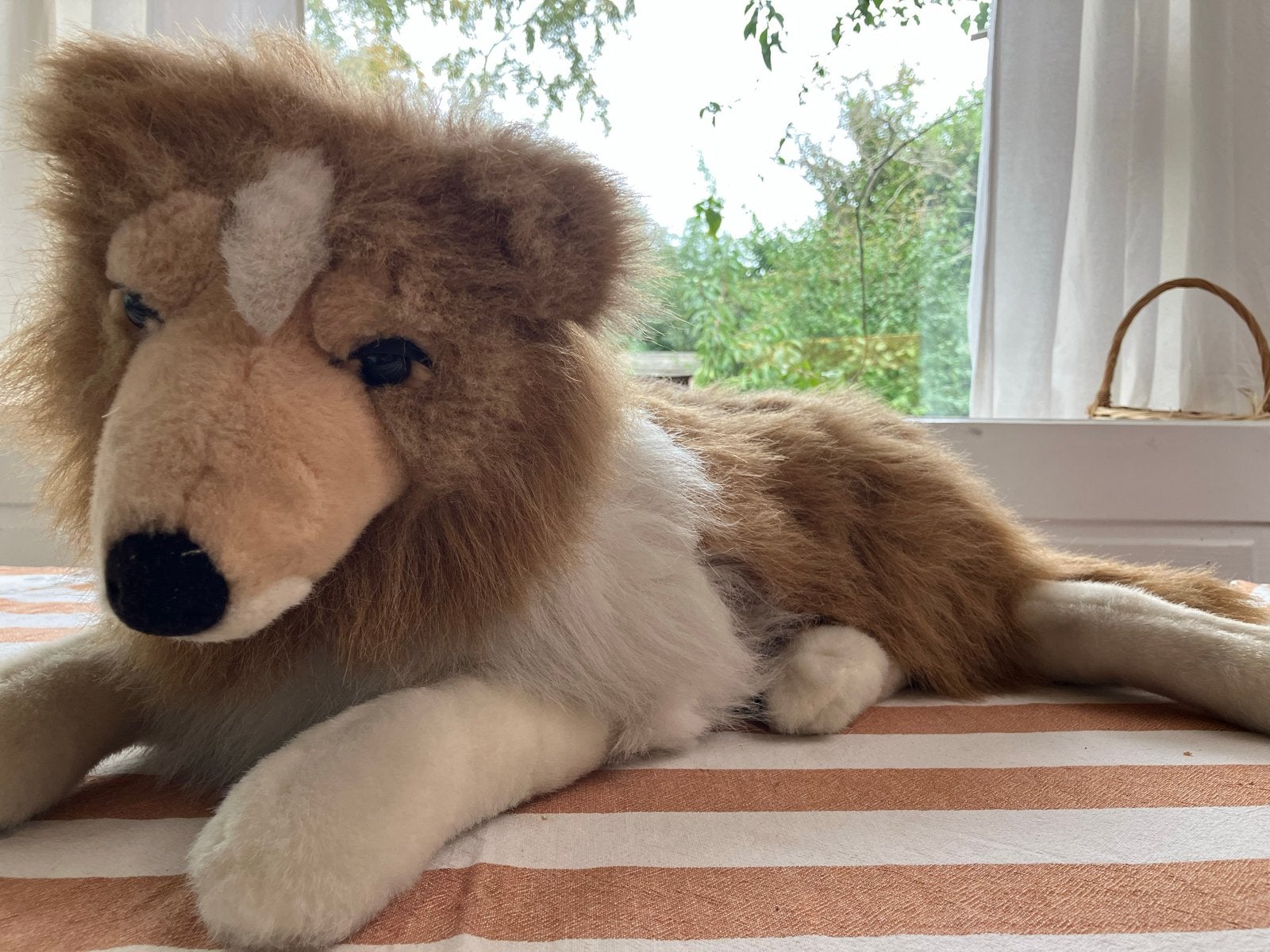 Grote knuffelhond, Collie, gratis op te halen, Ophalen, Gebruikt, Overige merken, Overige karakters