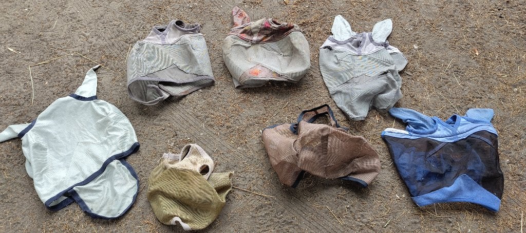 Vliegen maskers  full, Ophalen of Verzenden, Zo goed als nieuw, Overige disciplines