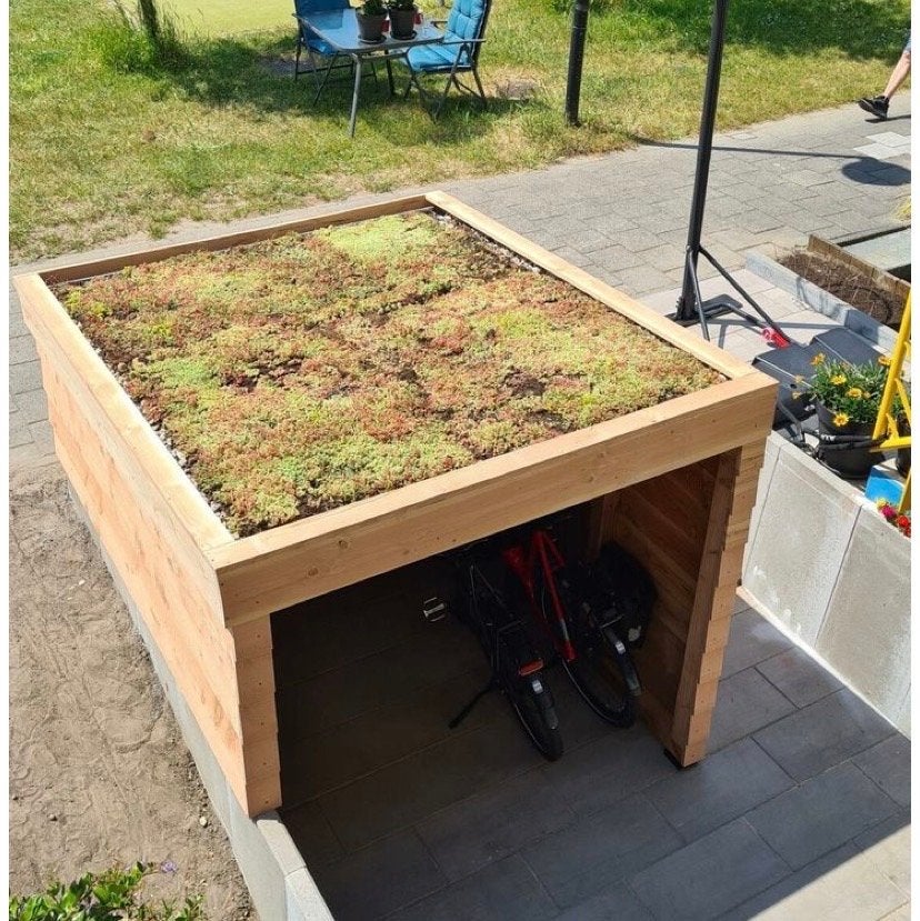 Hittebestendig vergroen leefomgeving met Sedum dak of tuin, Bodembedekkers, Volle zon, Vaste plant, Ophalen of Verzenden