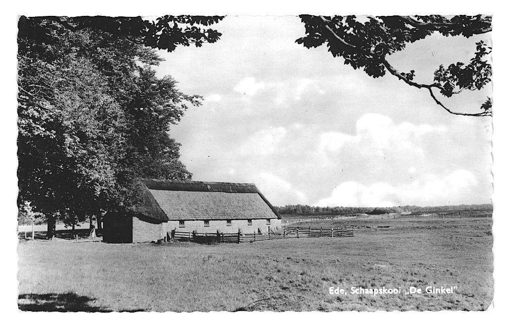947179	Ede	1965 Gld Schaapskooi	De Ginkel	Gelopen met zegel, Ophalen of Verzenden, 1960 tot 1980, Gelopen, Gelderland