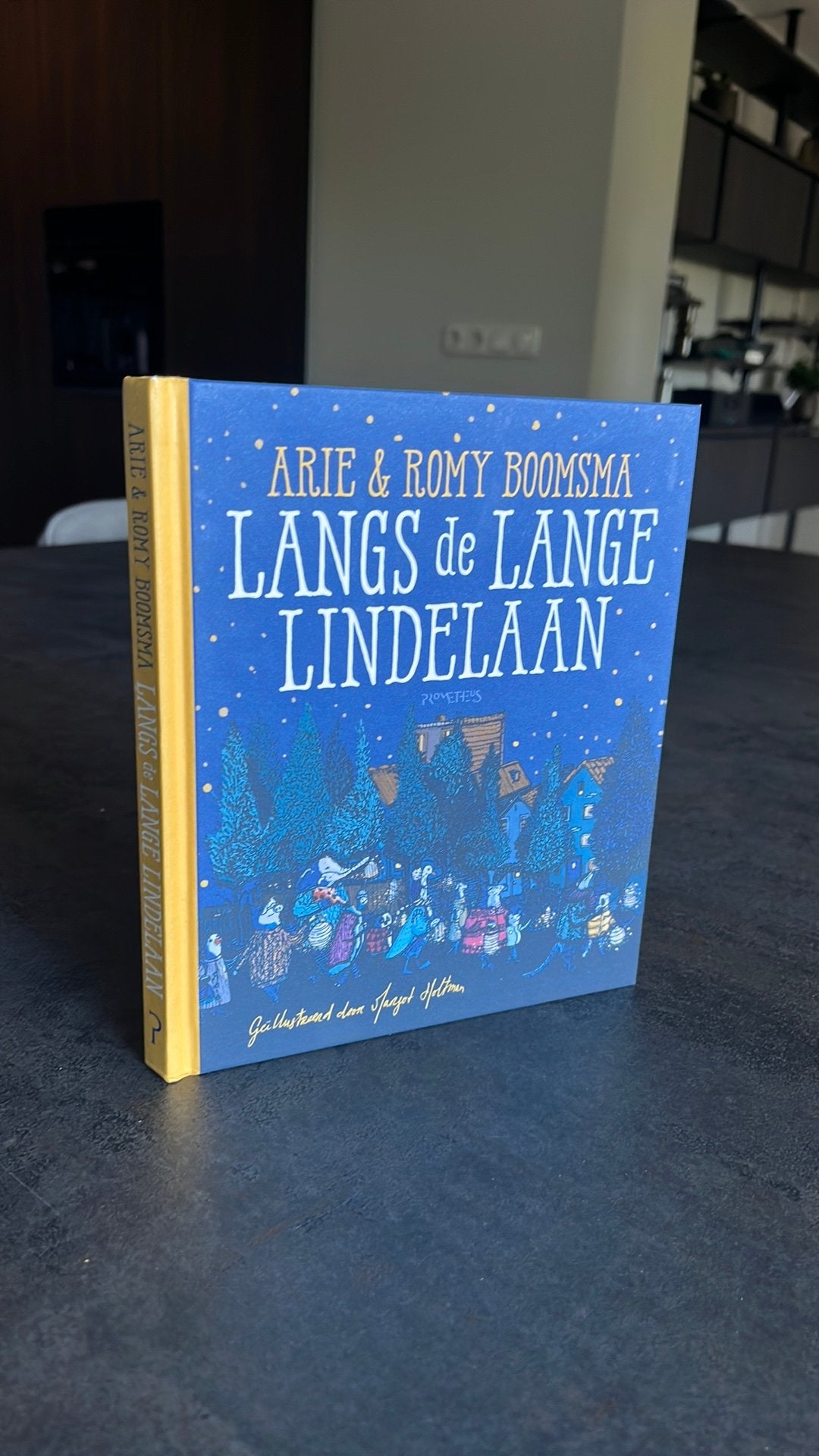 Romy Boomsma - Langs de Lange Lindelaan, Ophalen of Verzenden, Zo goed als nieuw, Romy Boomsma; Arie Boomsma