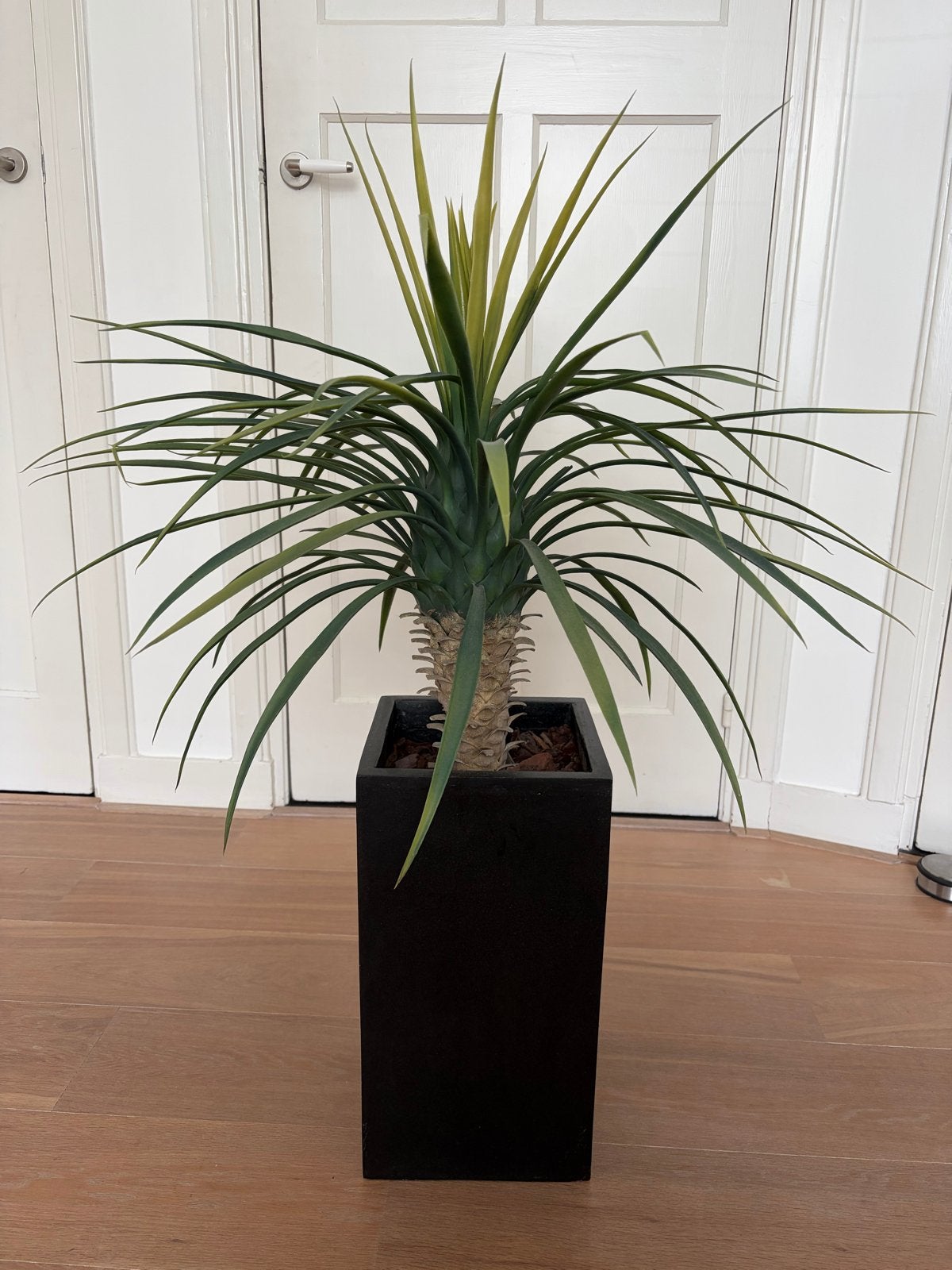 Kunstplant Yucca in Zwarte Pot - 110 cm Hoog, Ophalen, Binnen, Groen, Kunstplant