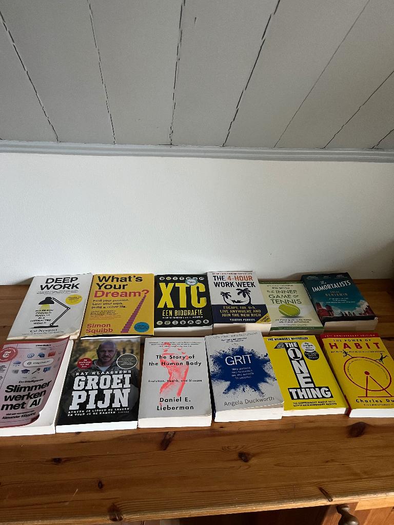 Verschillende boeken, Boeken, Partijen en Verzamelingen, Ophalen of Verzenden, Gelezen, Verschillende onderwerpen