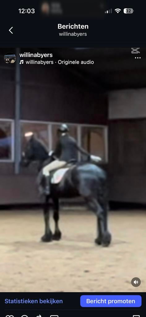 Verzorgpony/paard gezocht!, Ophalen of Verzenden, Zo goed als nieuw