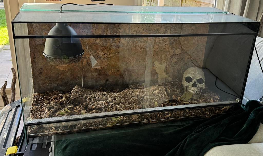 Terrarium glas 120x50x60, Dieren en Toebehoren, Reptielen en Amfibieën | Toebehoren, Ophalen, Gebruikt, Terrarium of Paludarium