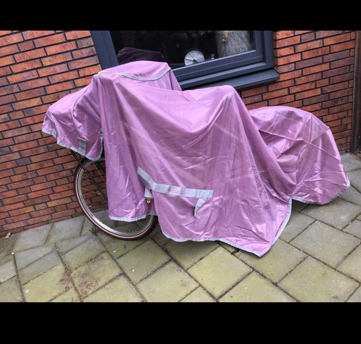 Bacas vliegen deken, Ophalen, Nieuw
