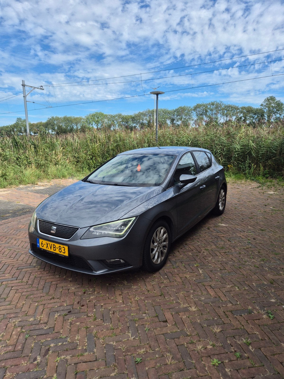 Seat Leon 1.6 TDI 81KW/110PK 2014 Grijs, Voorwielaandrijving, 1160 kg, 4 cilinders, Leon