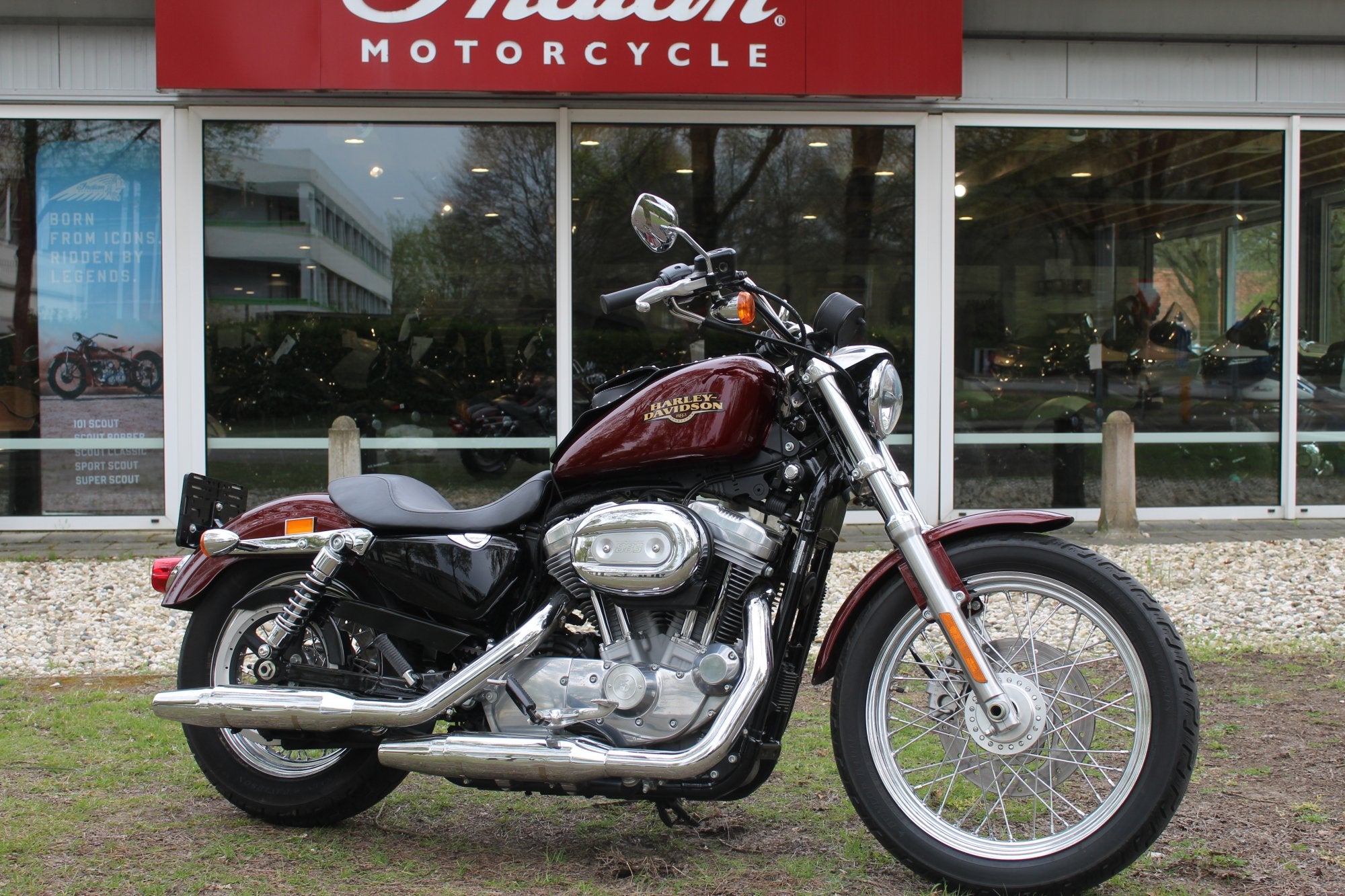 Harley-Davidson Sportster XL 883 Sportster XL 883 L low, Chopper, Bedrijf, 883 cc, Meer dan 35 kW