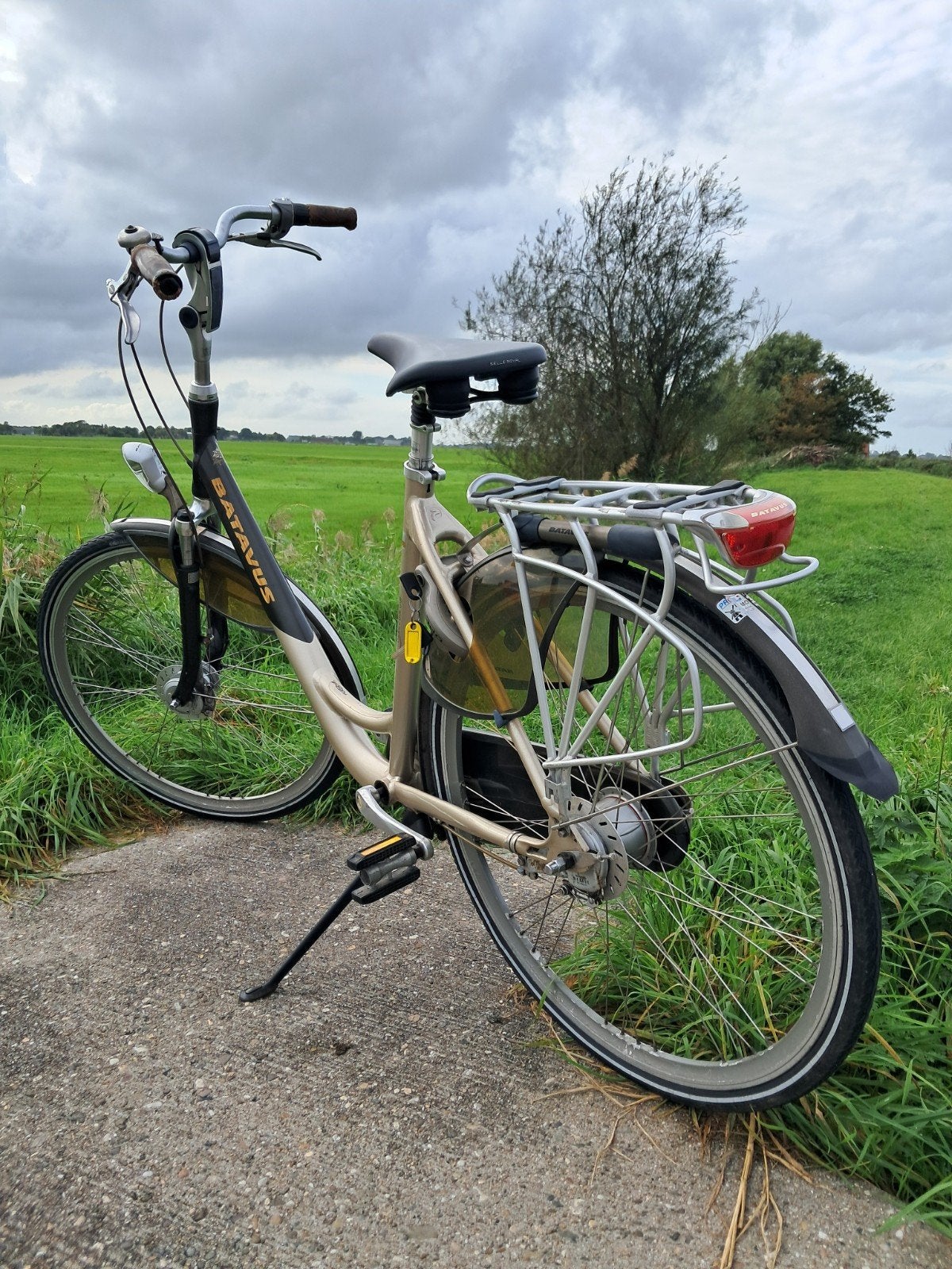 Batavus Cantate damesfiets framemaat 53 cm, Ophalen, Versnellingen, Batavus, Trommelrem