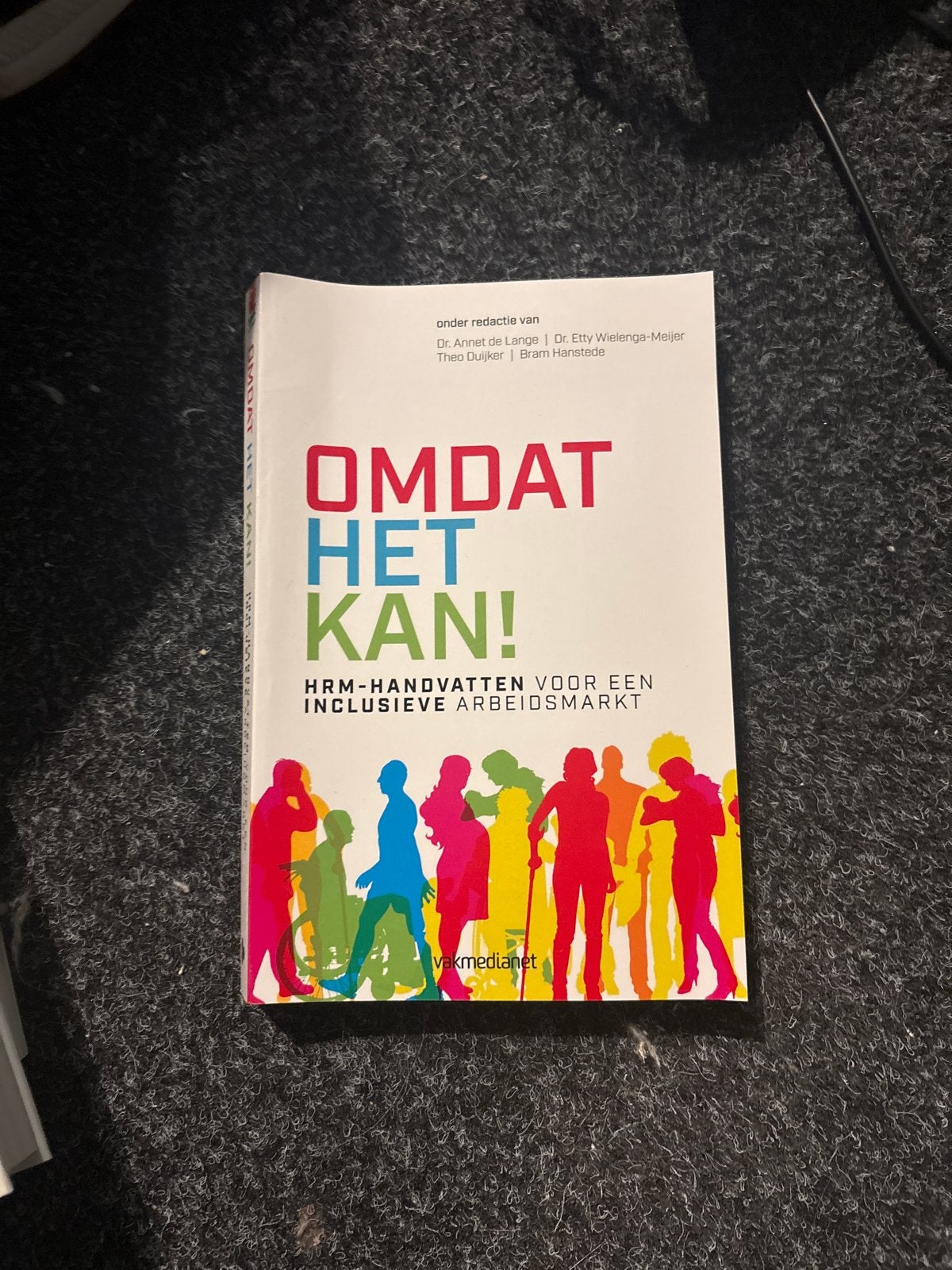 OMDAT HET KAN! HRM-Handvatten Inclusieve Arbeidsmarkt, Ophalen, Zo goed als nieuw, Personeel en Organisatie