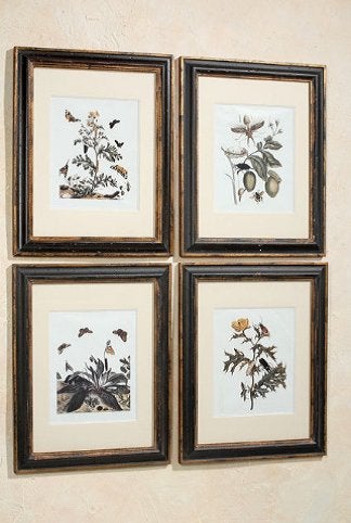 Mooie Prent in mooie Lijst, met vlinders, insecten, bloemen, 50 – 75, Minder dan 50 cm, Nieuw, Ophalen of Verzenden