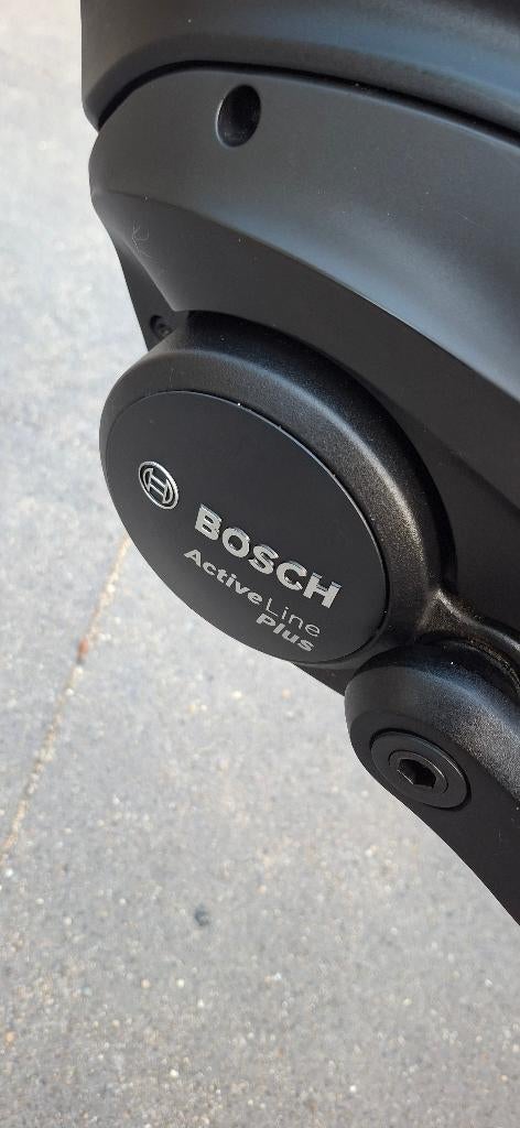 Gazelle Orange C8 - Bosch Active Line Plus midden motor ZGAN, Hobby en Vrije tijd, Overige Hobby en Vrije tijd, Ophalen, Gazelle
