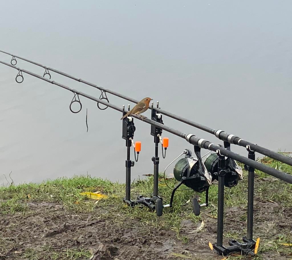 3 kudos hangers met betalights, Watersport en Boten, Hengelsport | Karpervissen, Ophalen of Verzenden, Zo goed als nieuw, Overige typen