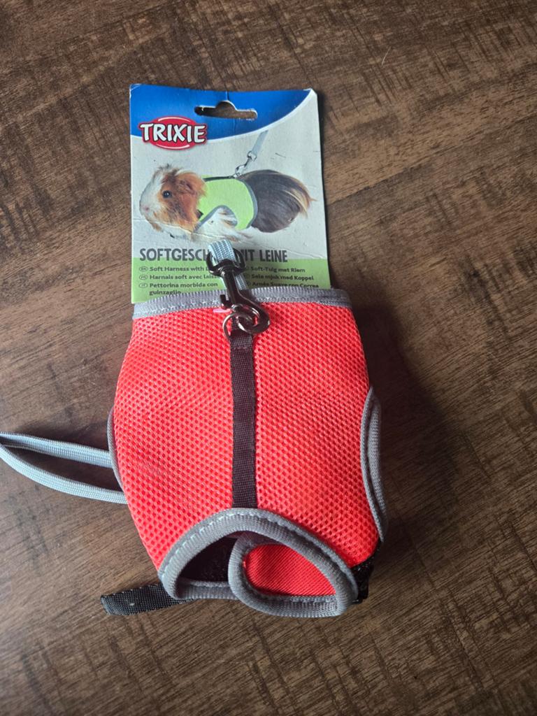 Tuigje met riem voor cavia, Dieren en Toebehoren, Kattenhalsbanden en Penningen, Ophalen of Verzenden, Nieuw