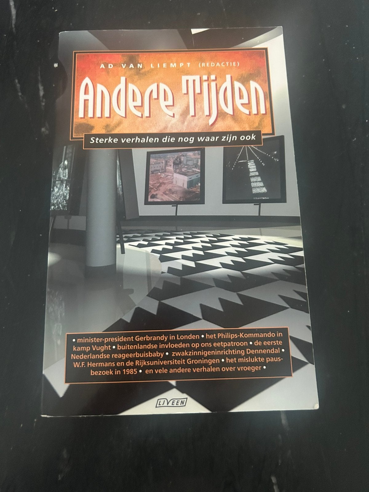 DEN DOLDER DENNENDAL jaren’60 ‘70 boek ANDERE TIJDEN 2003, Ophalen of Verzenden, Zo goed als nieuw
