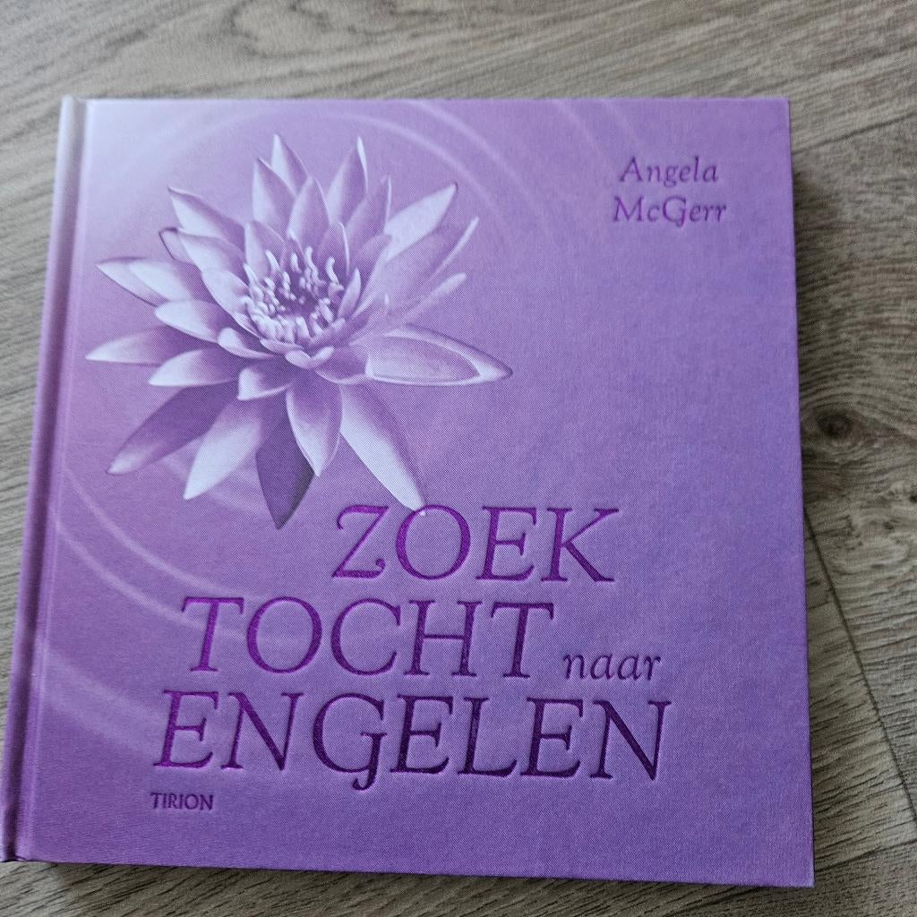 Boek zoektocht naar Engelen, angela mc gerr, Ophalen, Angela Mcgerr, Overige typen, Zo goed als nieuw