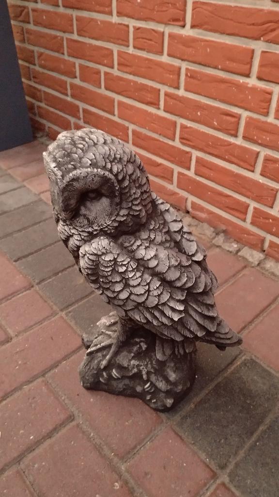 super mooie uil, Tuin en Terras, Tuinbeelden, Ophalen, Nieuw, Beton, Dierenbeeld