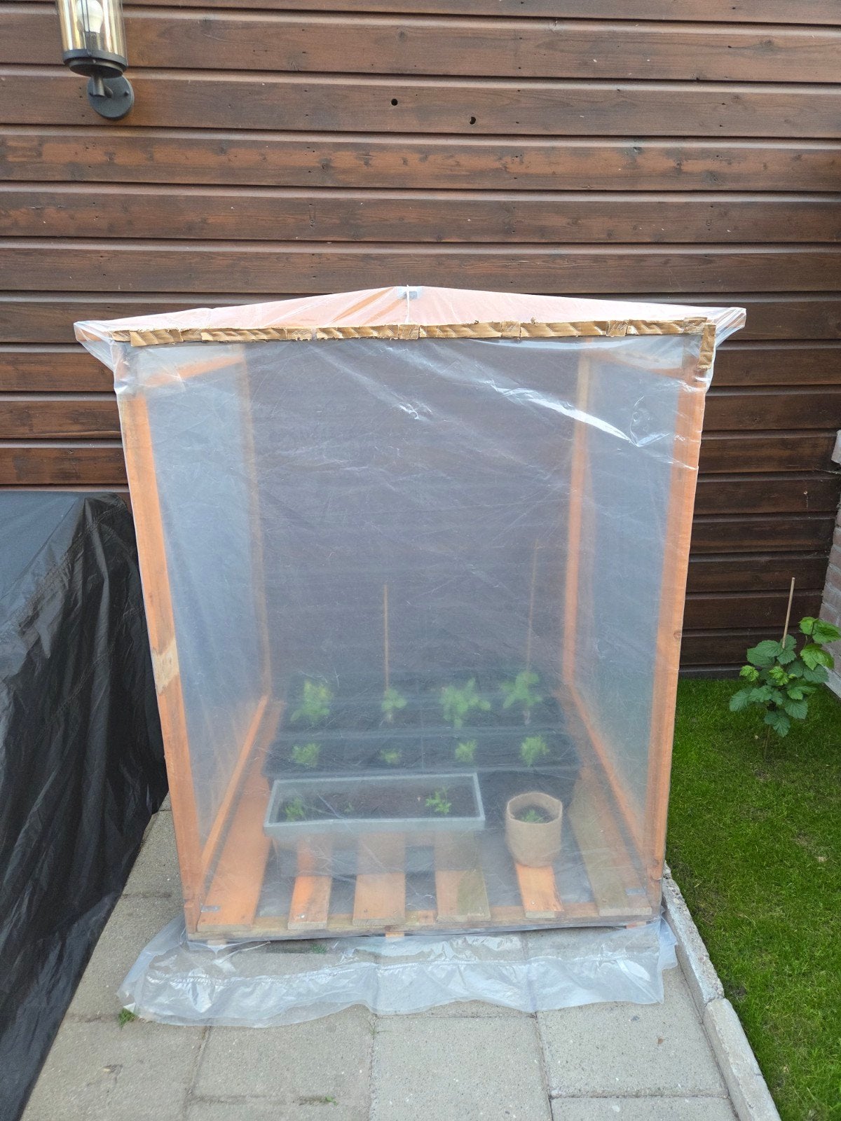 Greenhouse 98x93x127, Ophalen, Glas, Aluminium