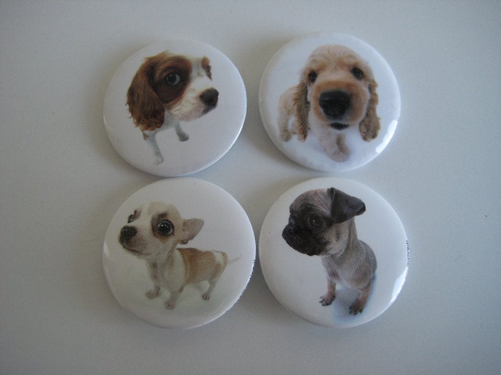4 hondenbuttons Chihuahua Labradoodle Pug Cavalier ZGAN, Verzamelen, Ophalen of Verzenden, Zo goed als nieuw, Dier of Natuur, Button