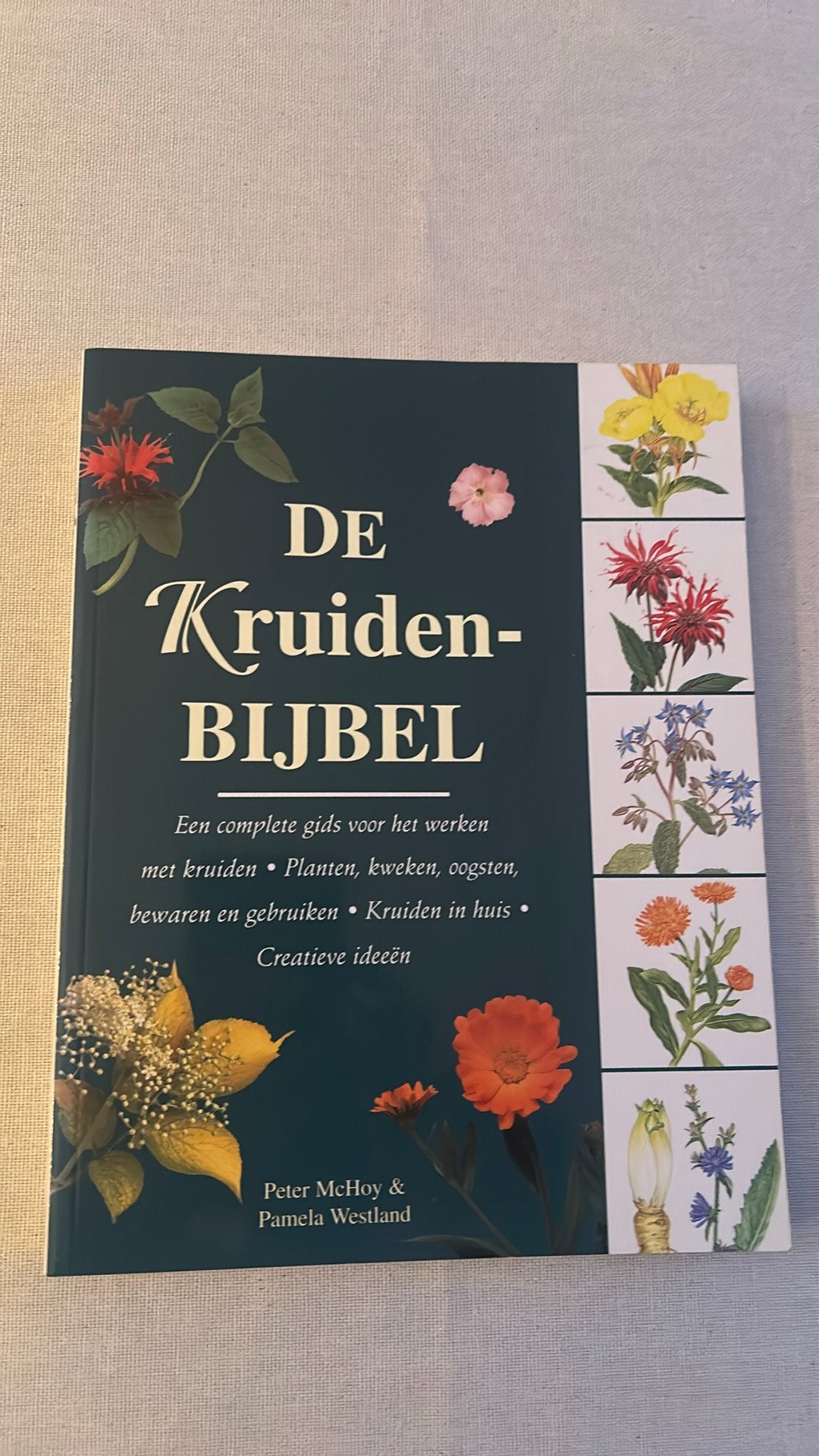 P. Westland - De Kruidenbijbel, Boeken, Ophalen of Verzenden, Zo goed als nieuw, P. Westland; P. MacHoy, Frankrijk