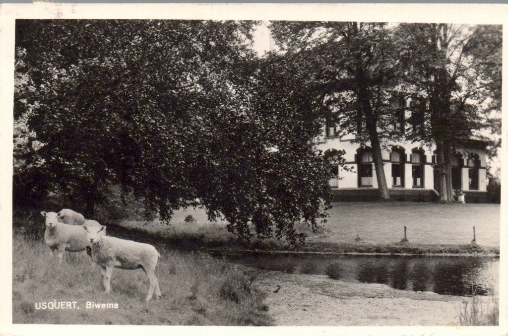 Usquert, Biweme, Ophalen of Verzenden, Voor 1920