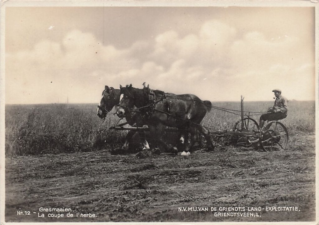 AZ235 reclamekaart Griendtsveen gem. Horst Limburg jaren 30, Verzamelen, Verzenden, 1920 tot 1940, Ongelopen, Limburg