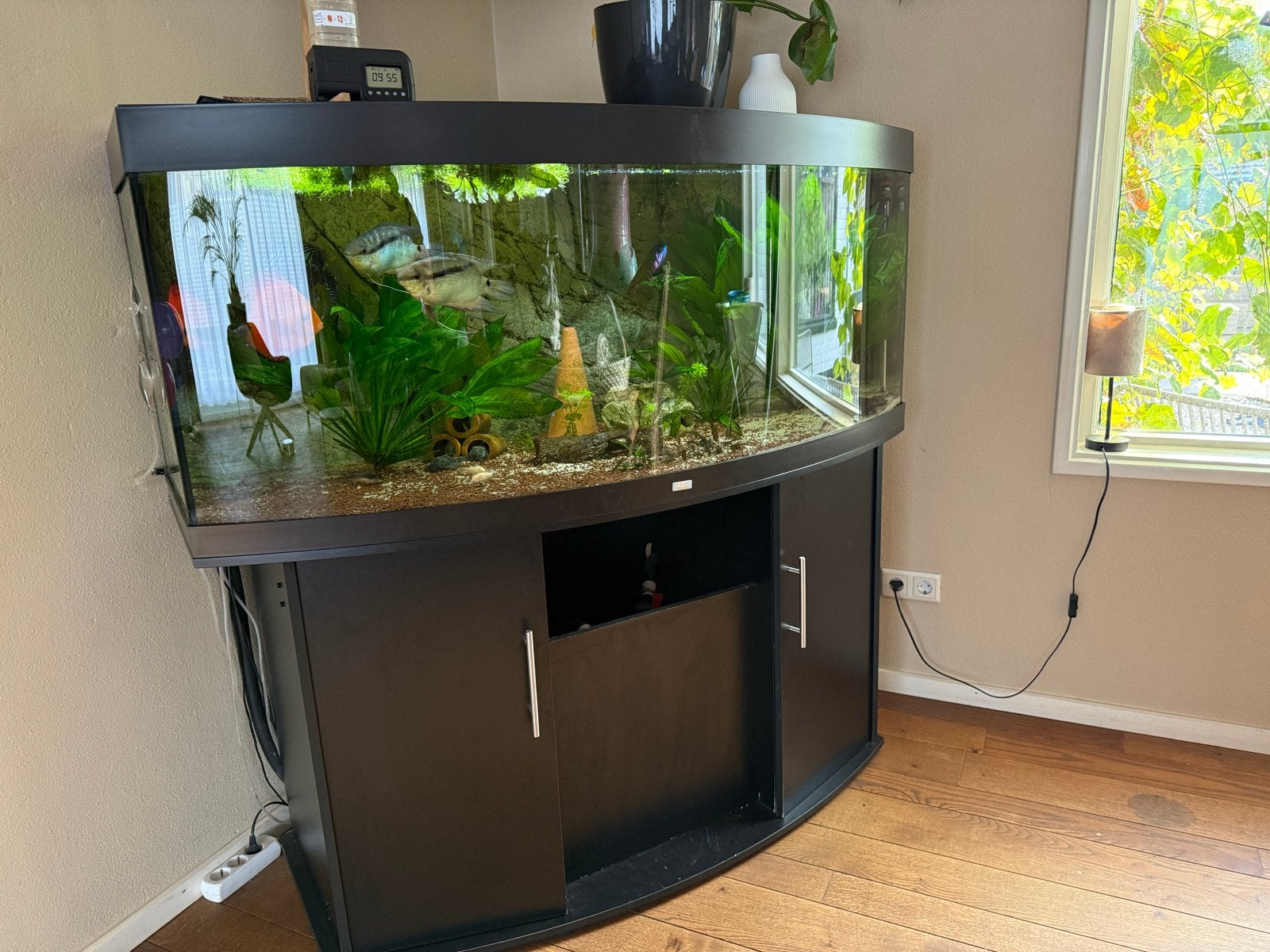 Juwel Vision 450 – compleet aquarium met CO2, FX4 en vissen, Dieren en Toebehoren, Ophalen